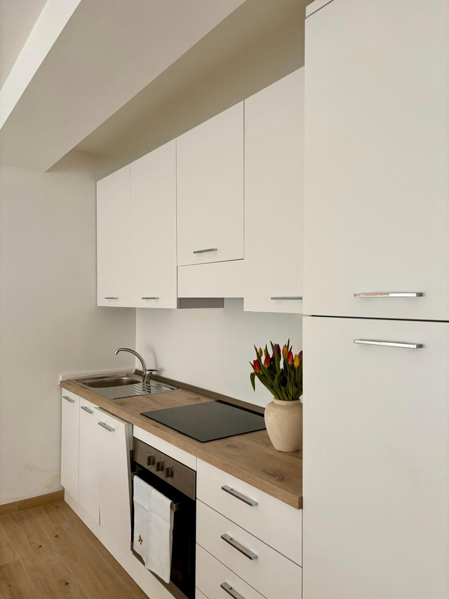 Tati&Ele Apartments Sedico Extérieur photo